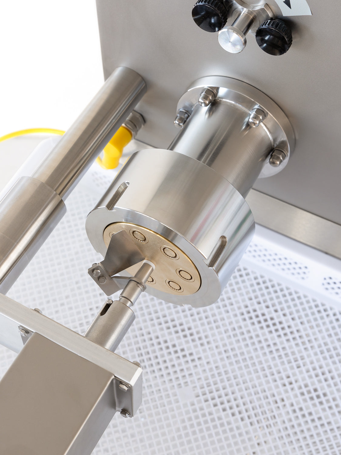 P20G Pasta Extruder with Mixer