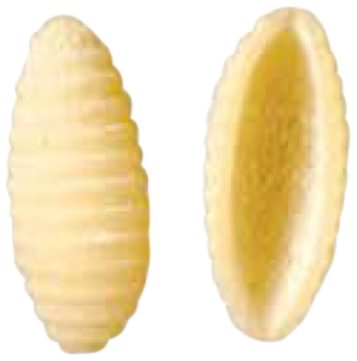 Gnocchetti 24mm, die 563